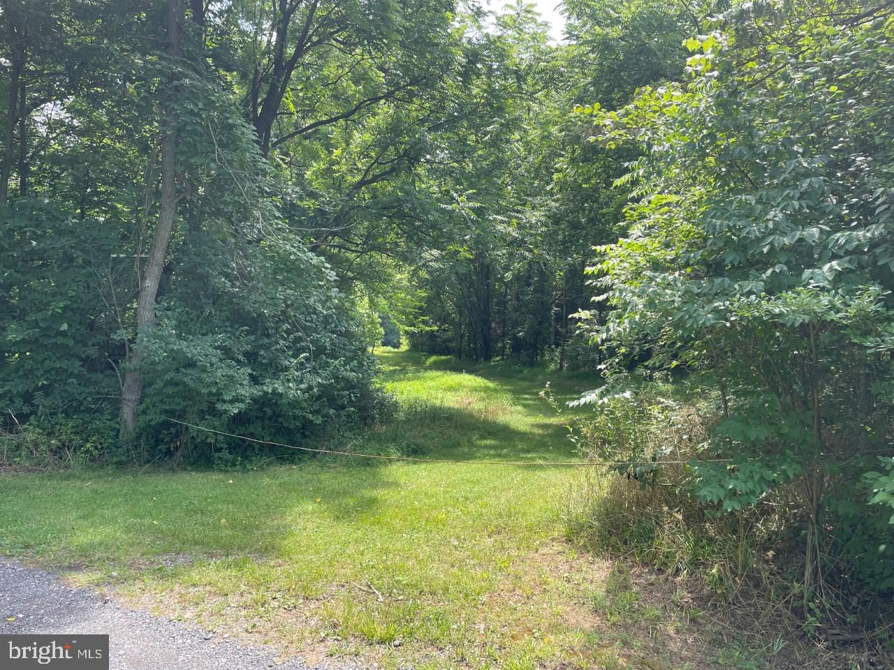 0 Starner Dam Road Taneytown, MD 21787 - Photo 7 of 42