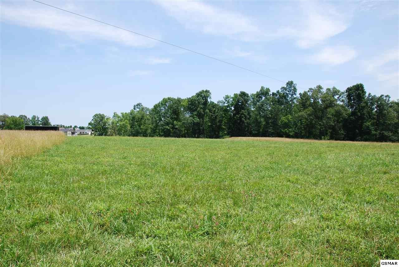 318 Chilhowee Academy Road Seymour, TN 37865 - Photo 3 of 19 Gallery Image 3