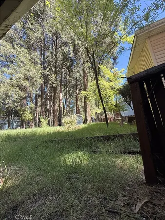 a view of a yard with plants and trees