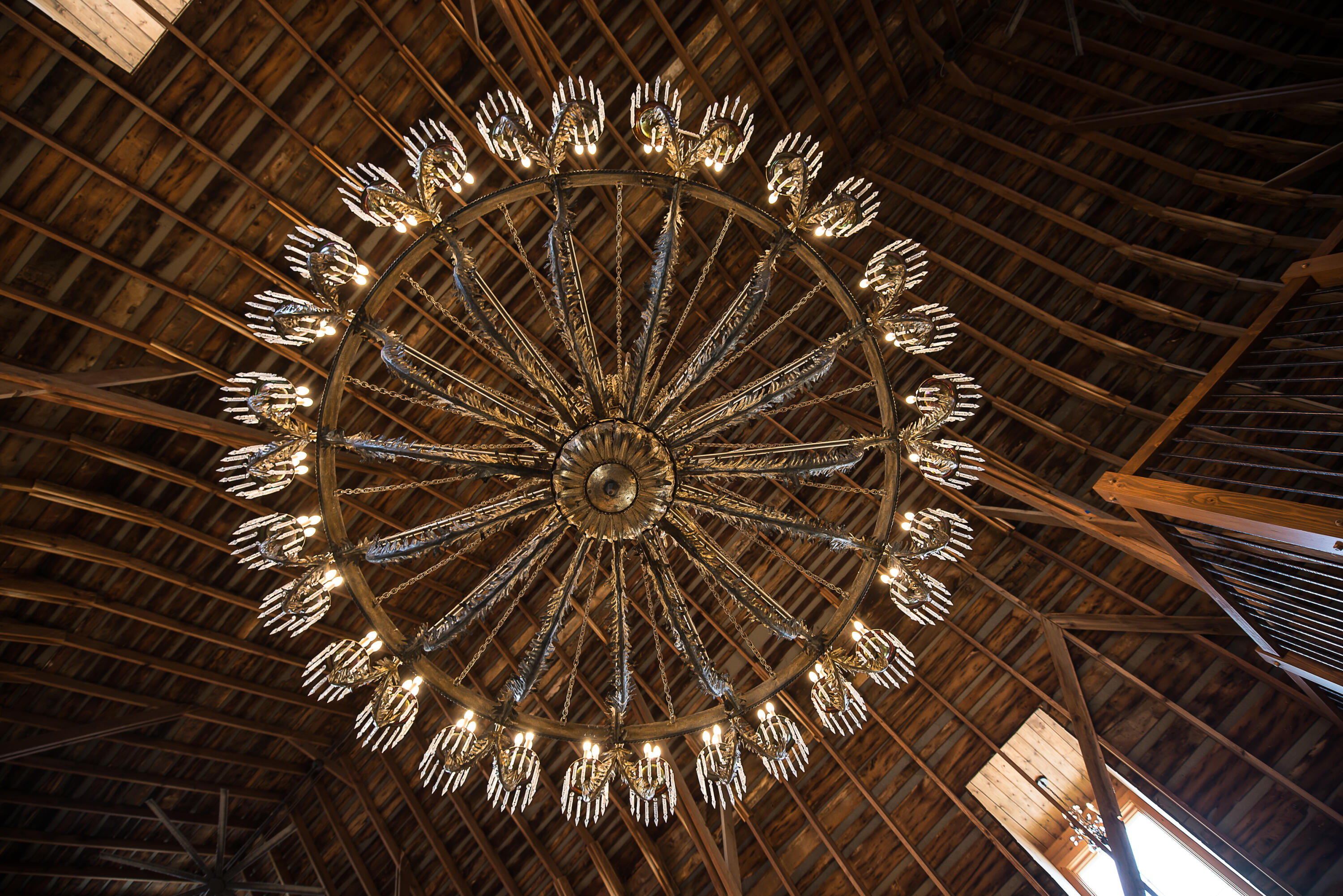 4569 Farrell Road Dexter, MI 48130 - Photo 19 of 99 Chandelier