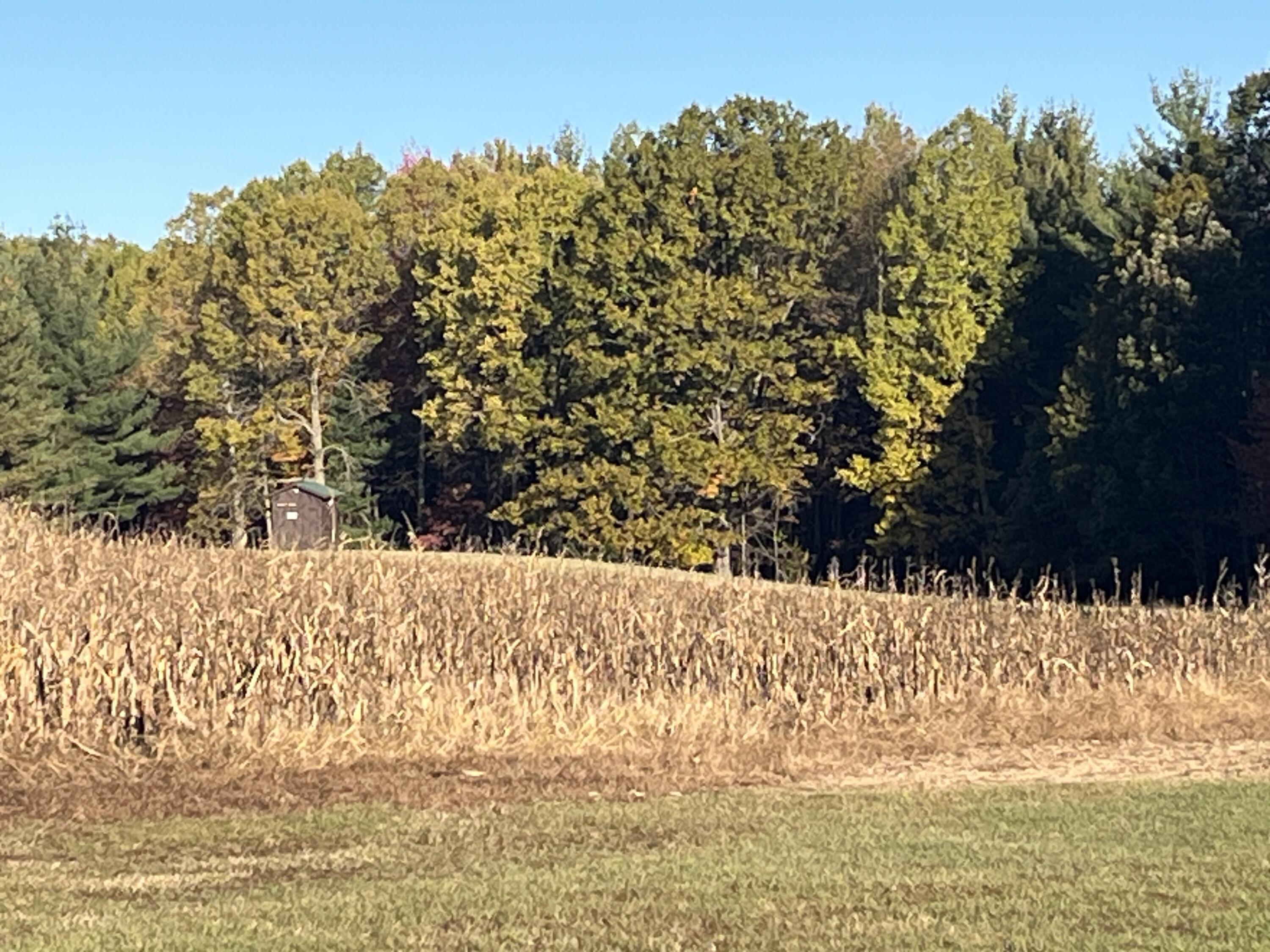 5656 Monroe Road Lakeview, MI 48850 - Photo 29 of 60 IMG_0398