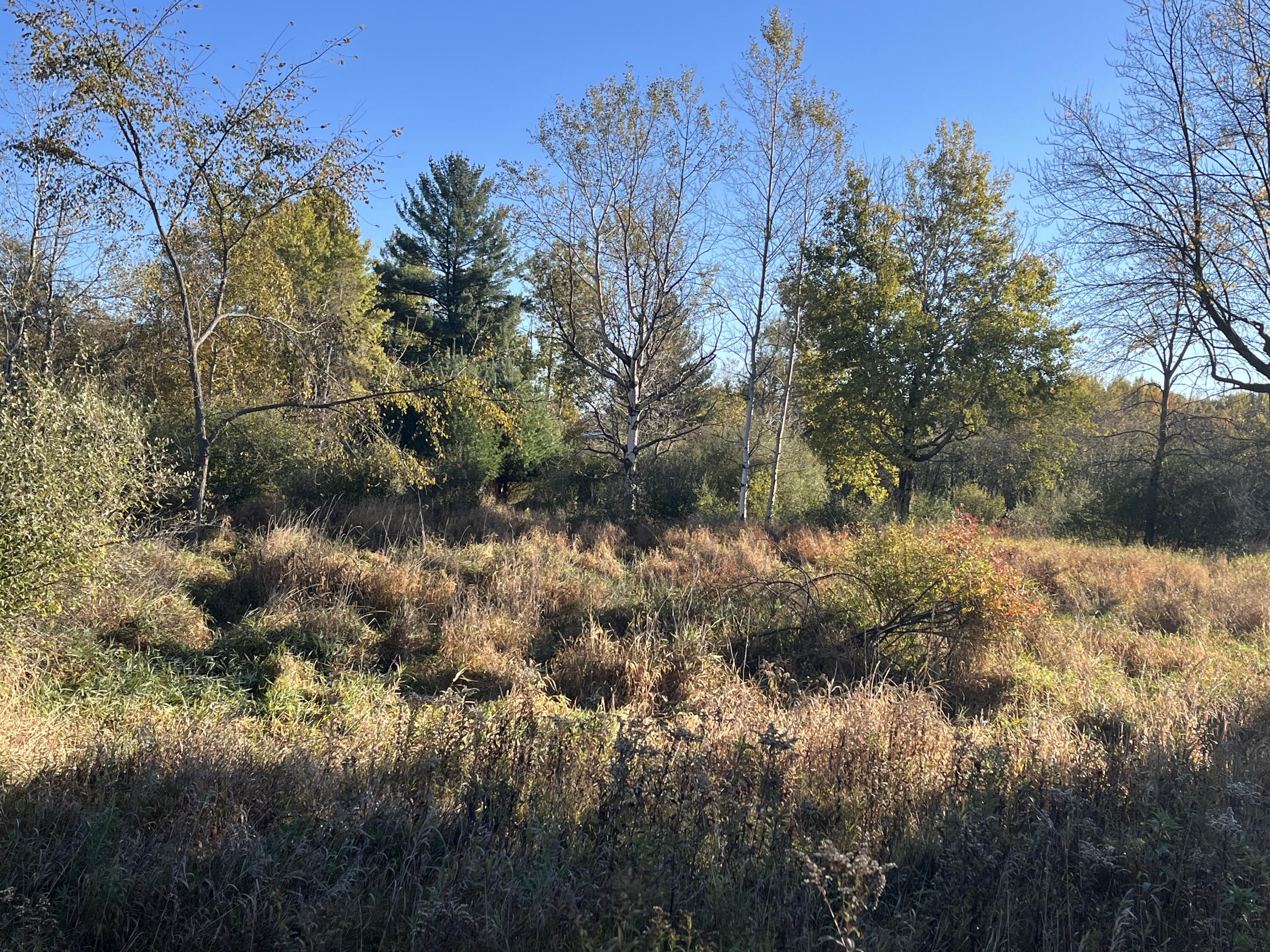 5656 Monroe Road Lakeview, MI 48850 - Photo 42 of 60 IMG_0441