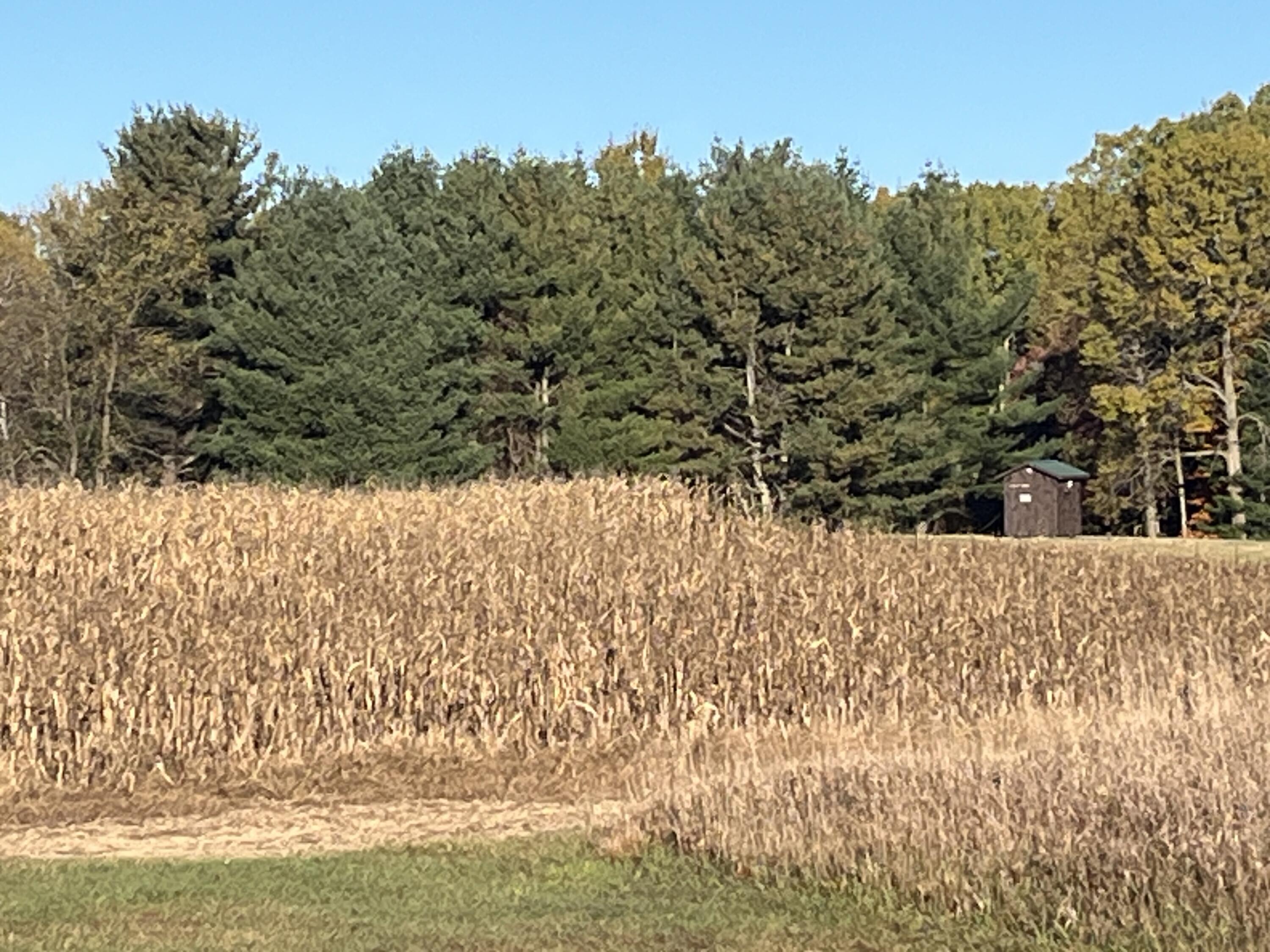 5656 Monroe Road Lakeview, MI 48850 - Photo 52 of 60 IMG_0401