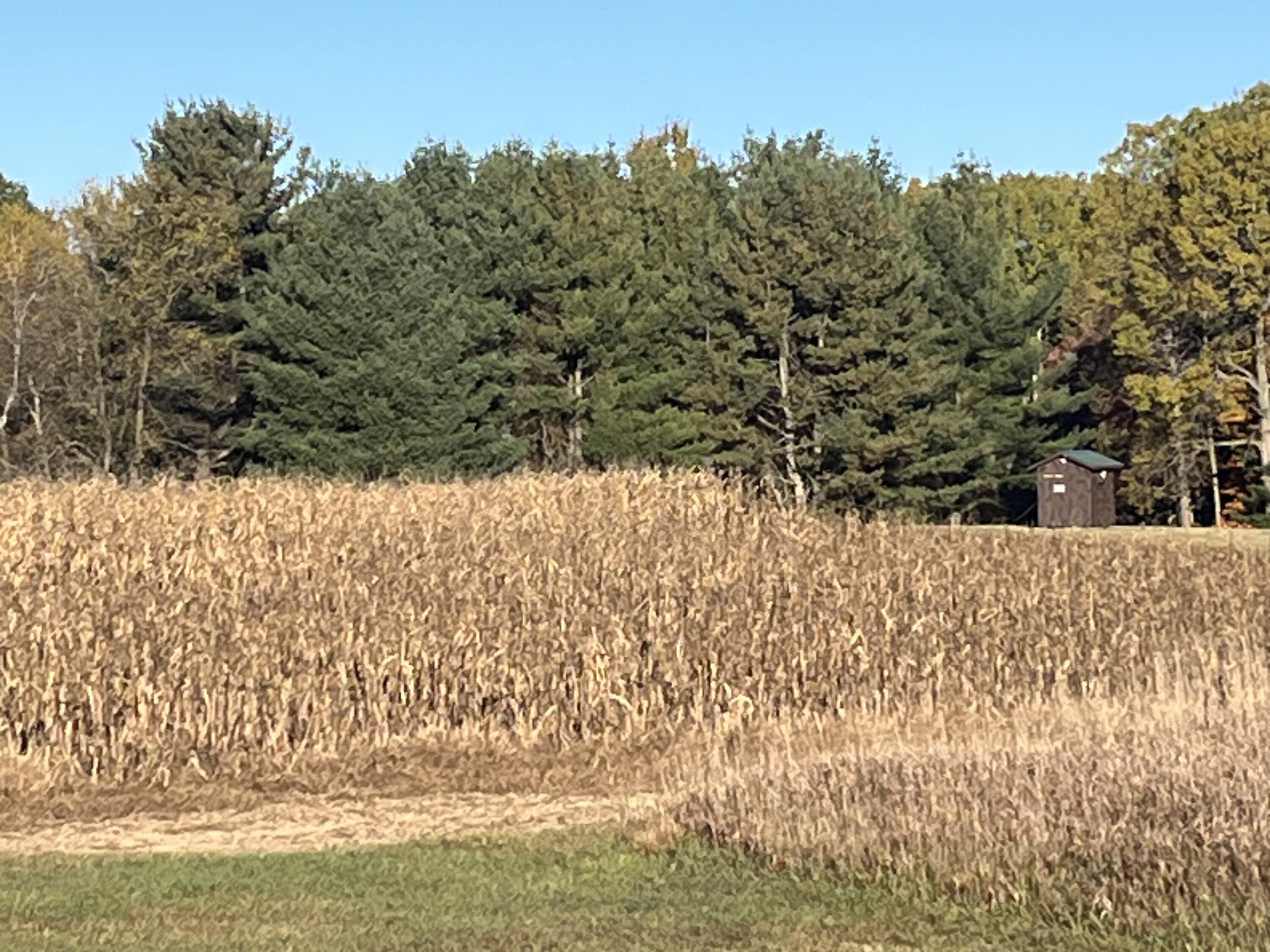 5656 Monroe Road Lakeview, MI 48850 - Photo 53 of 60 IMG_0400