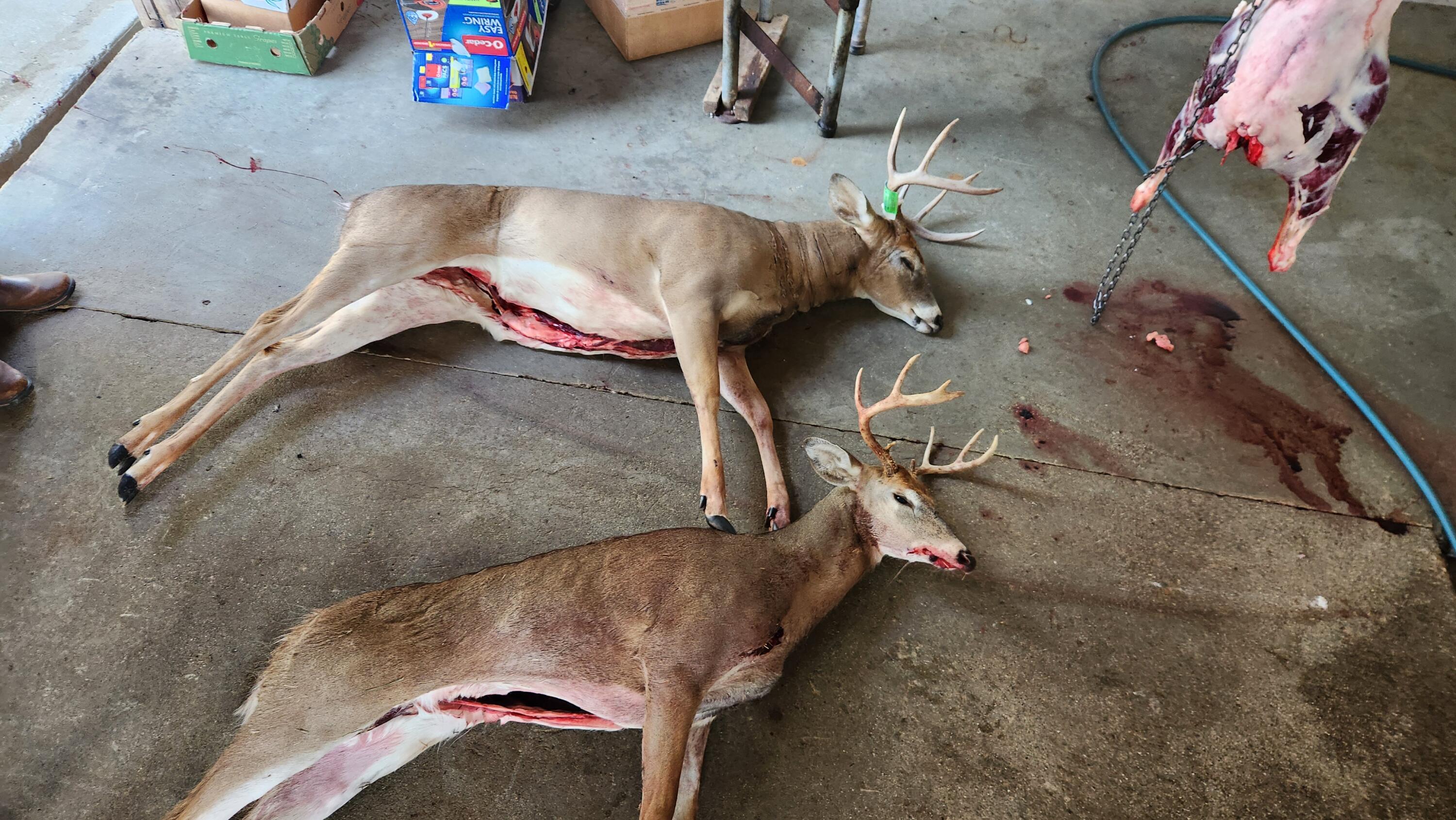 5656 Monroe Road Lakeview, MI 48850 - Photo 58 of 60 20241003_105923