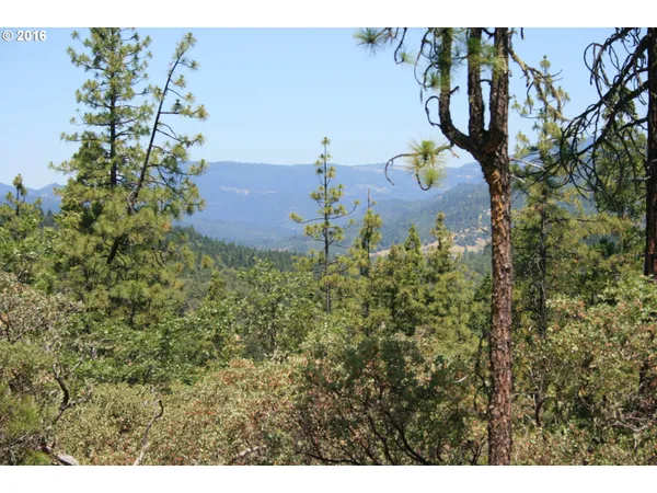 $120,000 | 0 Citadel Road, Trail, OR 97541