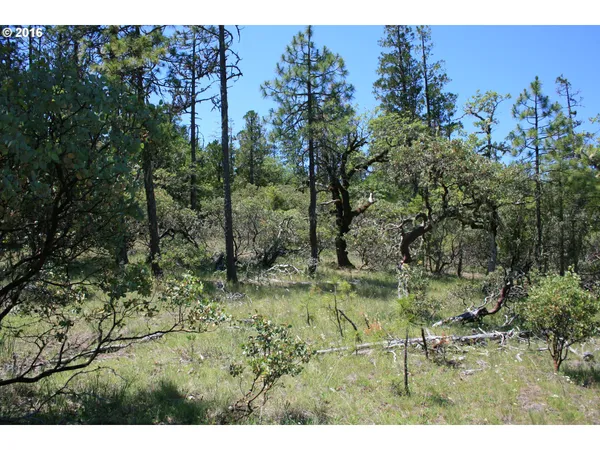 $120,000 | 0 Citadel Road, Trail, OR 97541