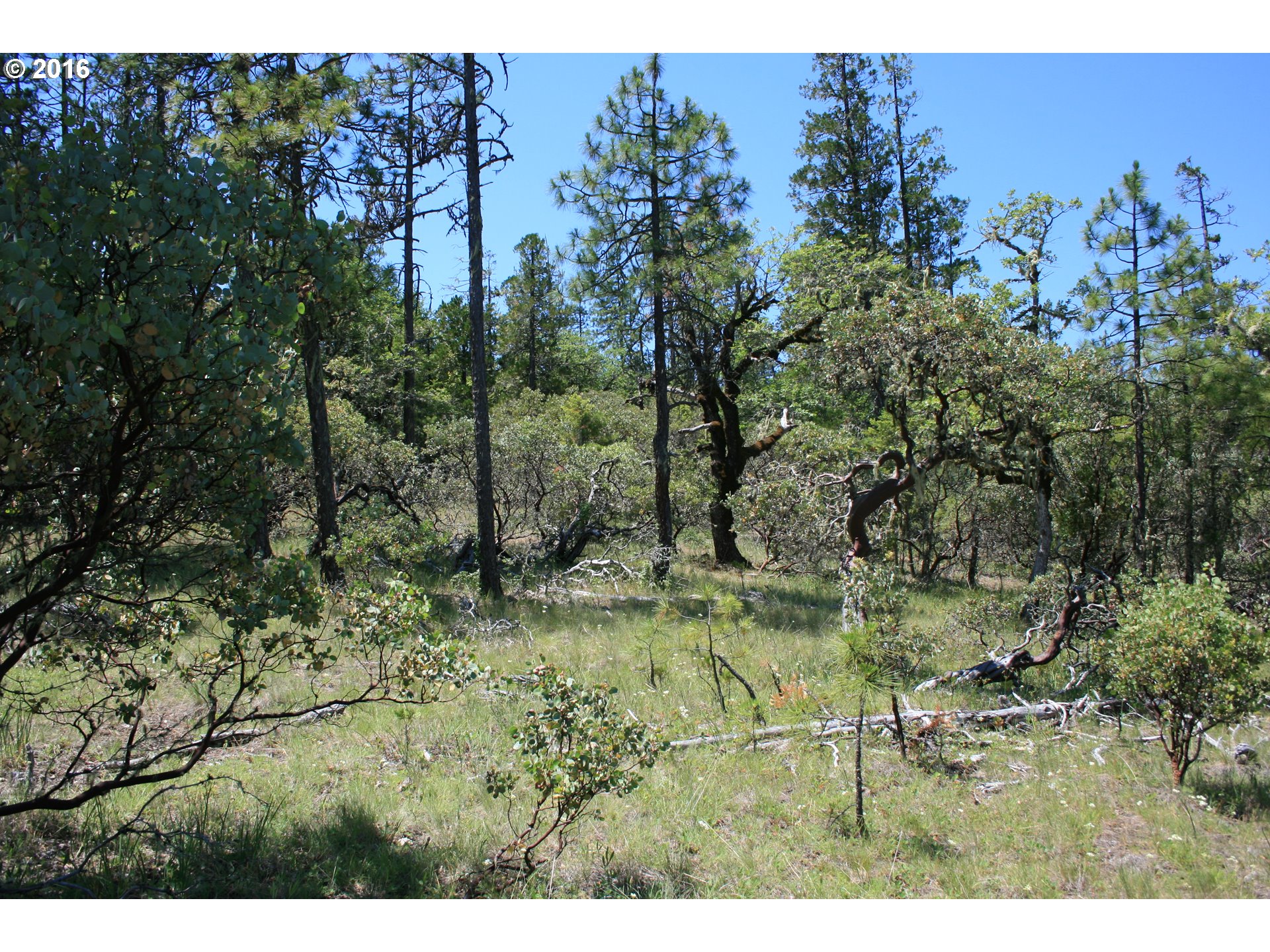 0 Citadel Road Trail, OR 97541 - Photo 12 of 15 a view of outdoor space and yard