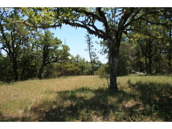 $120,000 | 0 Citadel Road, Trail, OR 97541