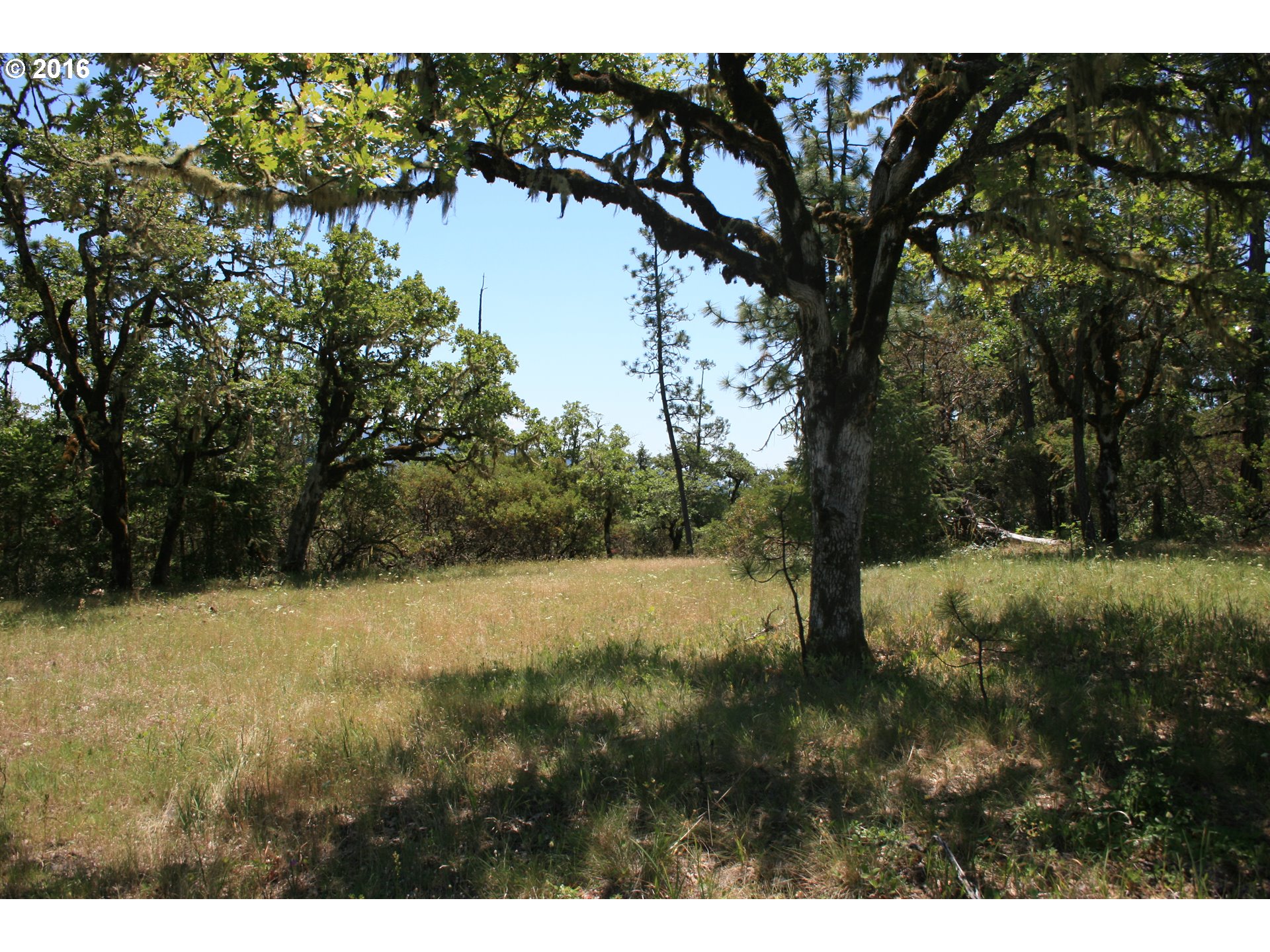 0 Citadel Road Trail, OR 97541 - Photo 13 of 15 a view of outdoor space and yard