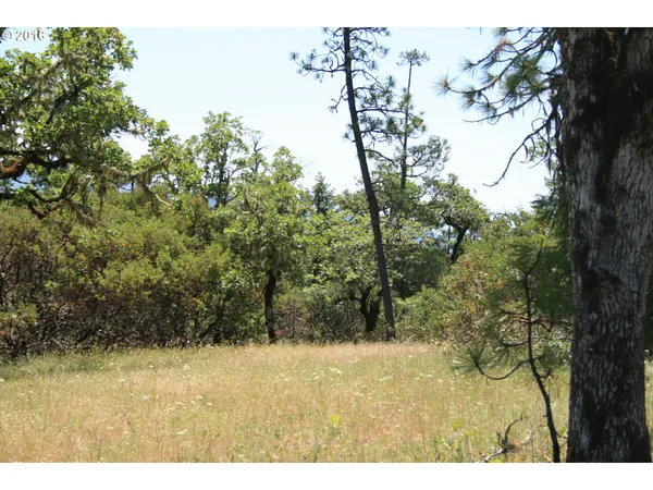 $120,000 | 0 Citadel Road, Trail, OR 97541