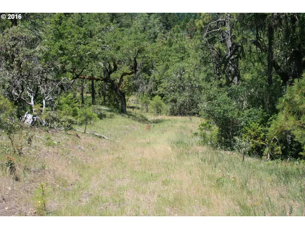 $120,000 | 0 Citadel Road, Trail, OR 97541