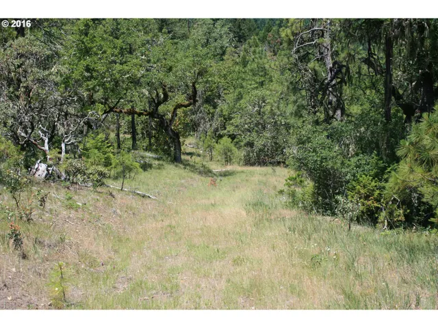 $120,000 | 0 Citadel Road, Trail, OR 97541