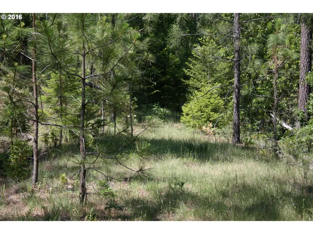 a view of outdoor space and green space