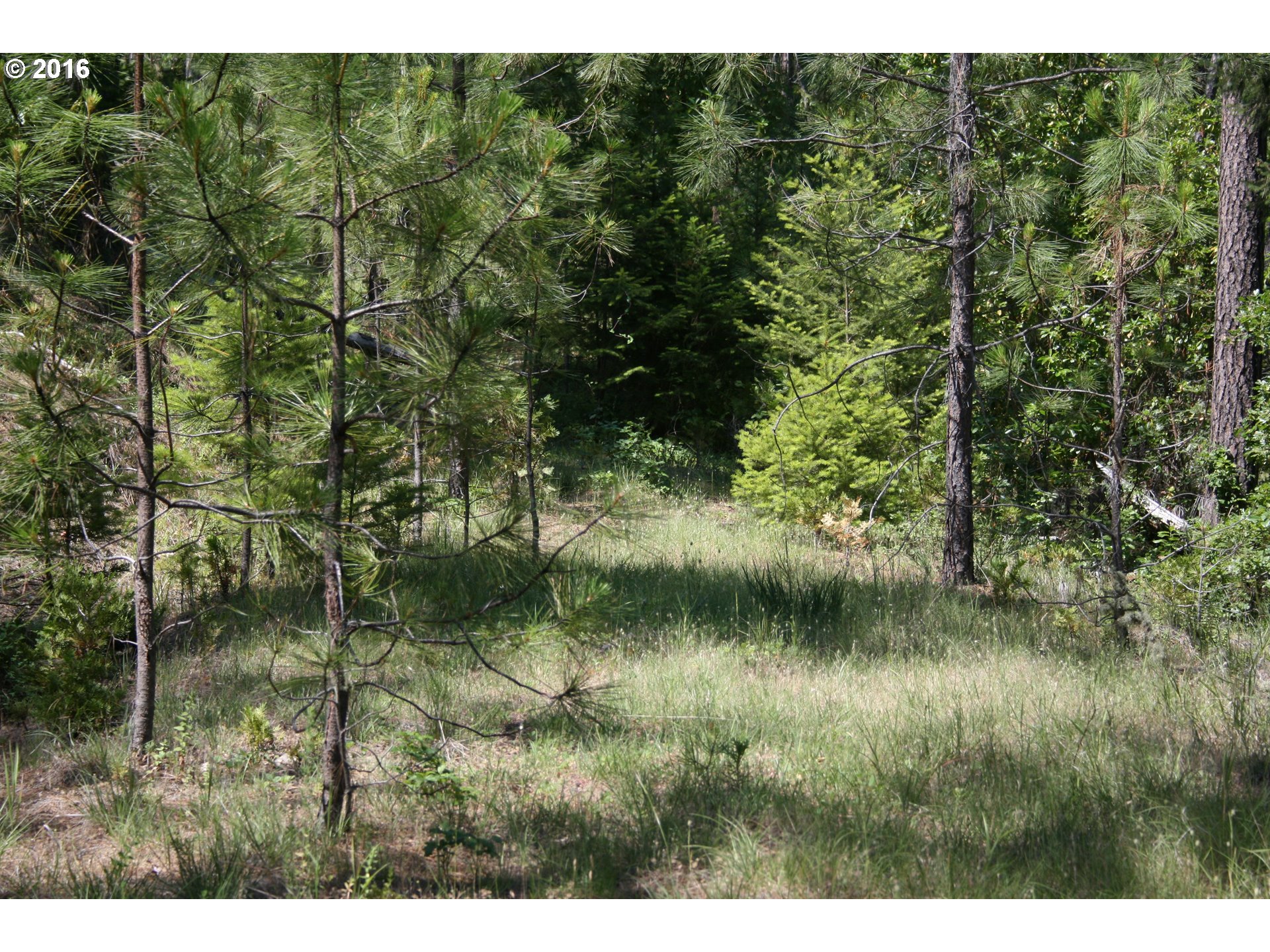 0 Citadel Road Trail, OR 97541 - Photo 2 of 15 a view of a lake with a yard