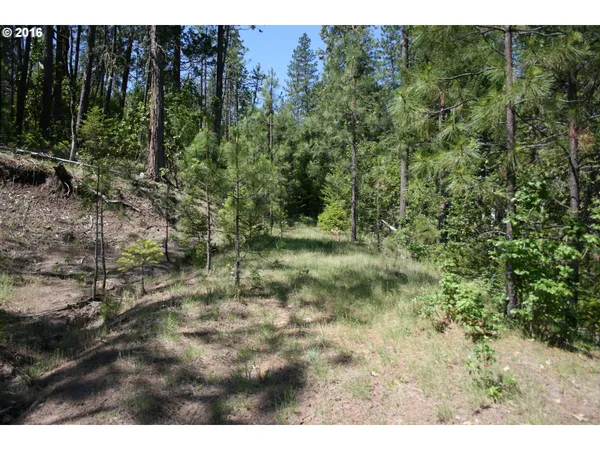 $120,000 | 0 Citadel Road, Trail, OR 97541