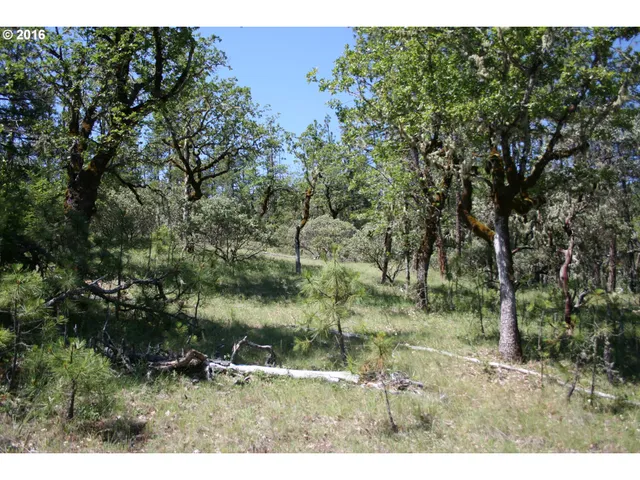 a view of a yard with an trees
