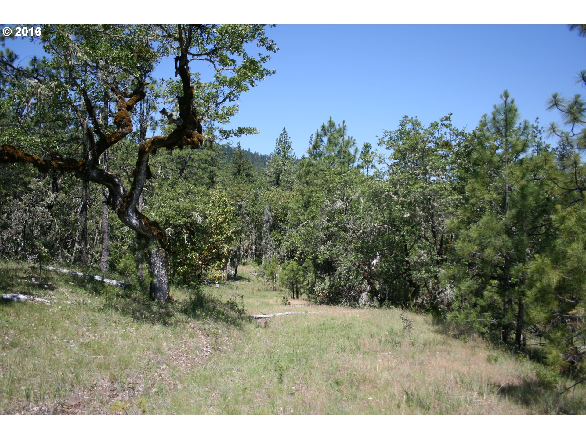 0 Citadel Road Trail, OR 97541 - Photo 5 of 15 a view of a yard with an trees