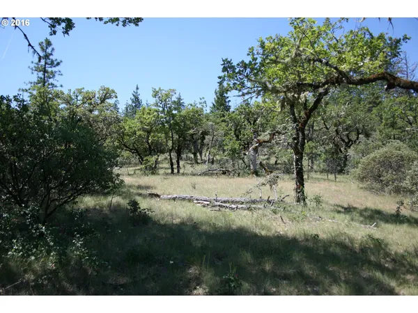 $120,000 | 0 Citadel Road, Trail, OR 97541