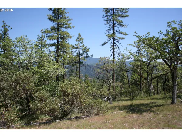 $120,000 | 0 Citadel Road, Trail, OR 97541