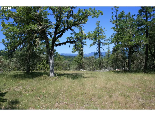 $120,000 | 0 Citadel Road, Trail, OR 97541