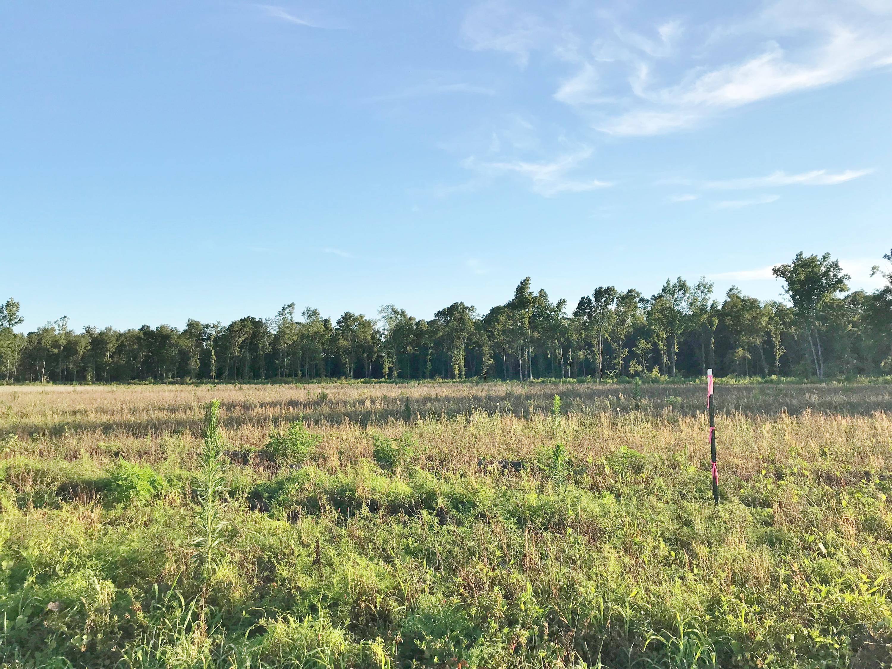 Lot 5 Coach Road Holly Hill, SC 29059 - Photo 1 of 1 Lot 5