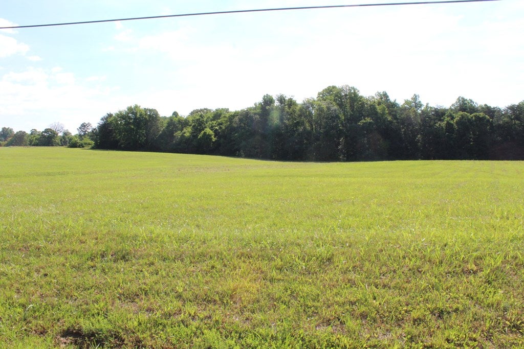 626 Lot 3 Pin Oak Road, Unit 3 Prospect, VA 23960 - Photo 3 of 4 Gallery Image 3