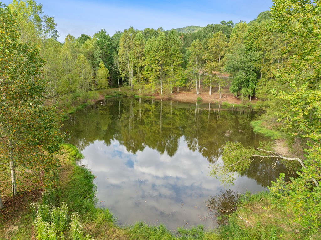 108 Pond Path Ellijay, GA 30536 - Photo 47 of 48 Gallery Image 47