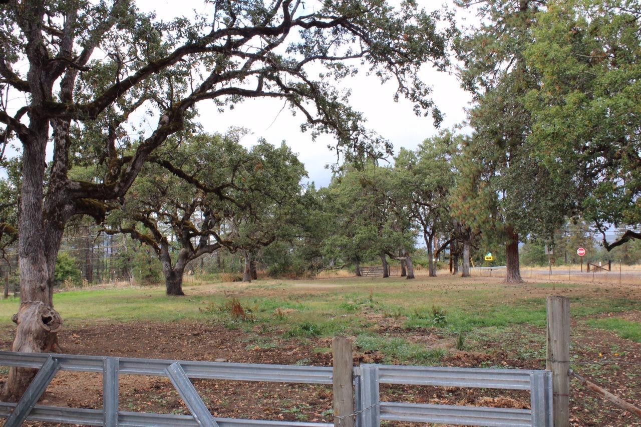 14841 Agate Road Eagle Point, OR 97524 - Photo 6 of 25 a view of a yard with tree s