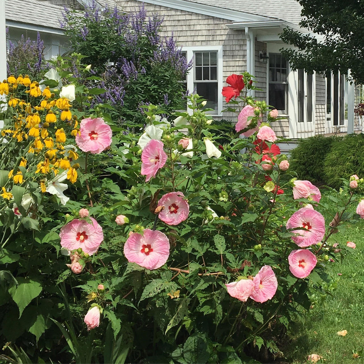 77 Barley Neck Road Orleans, MA 02653 - Photo 46 of 57 FB15A397-C382-49F3-8125-2AE3565E1C52