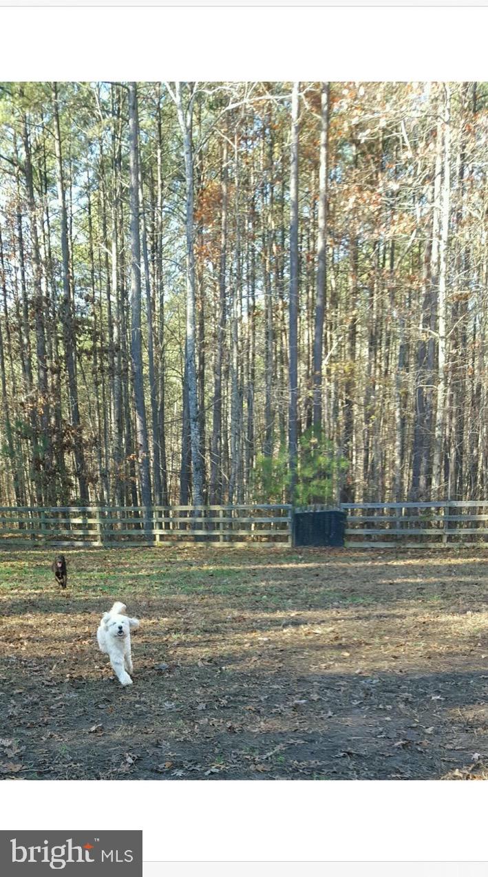 9916 Brock Road Spotsylvania, VA 22553 - Photo 12 of 12