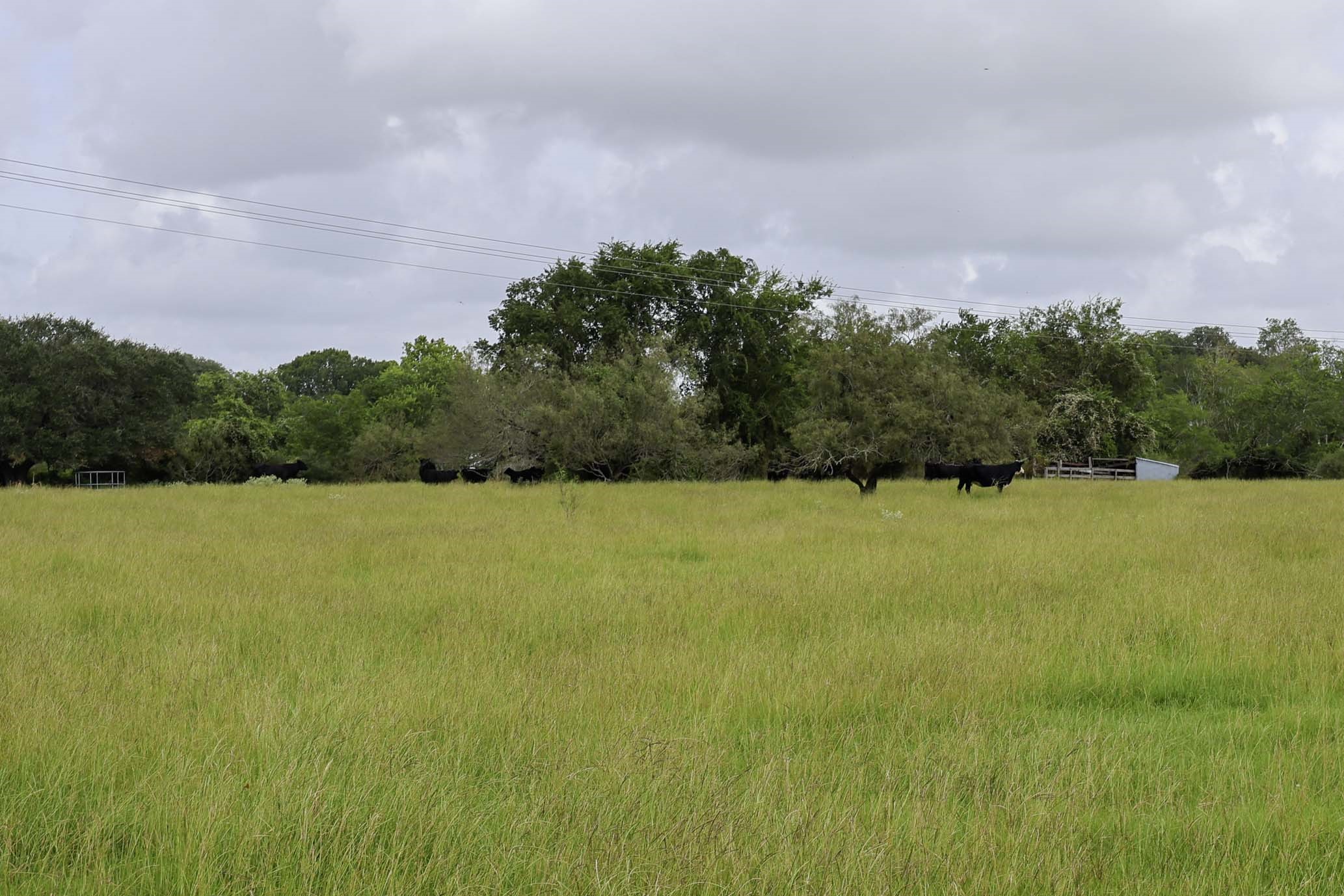 1340 Cr 253 Road Weimar, TX 78962 - Photo 6 of 18