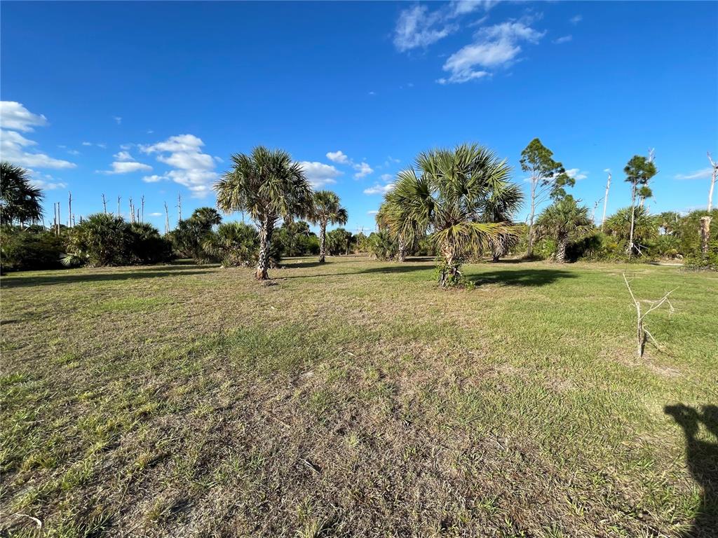 Newwhite Ave Port North Port, FL 34288 - Photo 1 of 1 Cleared and waiting for you to build your DREAM HOME!