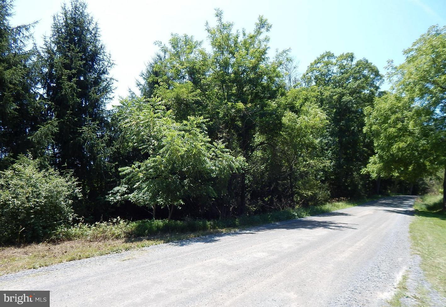 Fletcher Road Gore, VA 22637 - Photo 3 of 5 Gallery Image 3