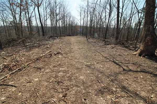 $35,665 | 0 Madison Cr, Fredericktown, MO 63645