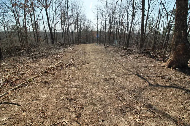 $35,665 | 0 Madison Cr, Fredericktown, MO 63645