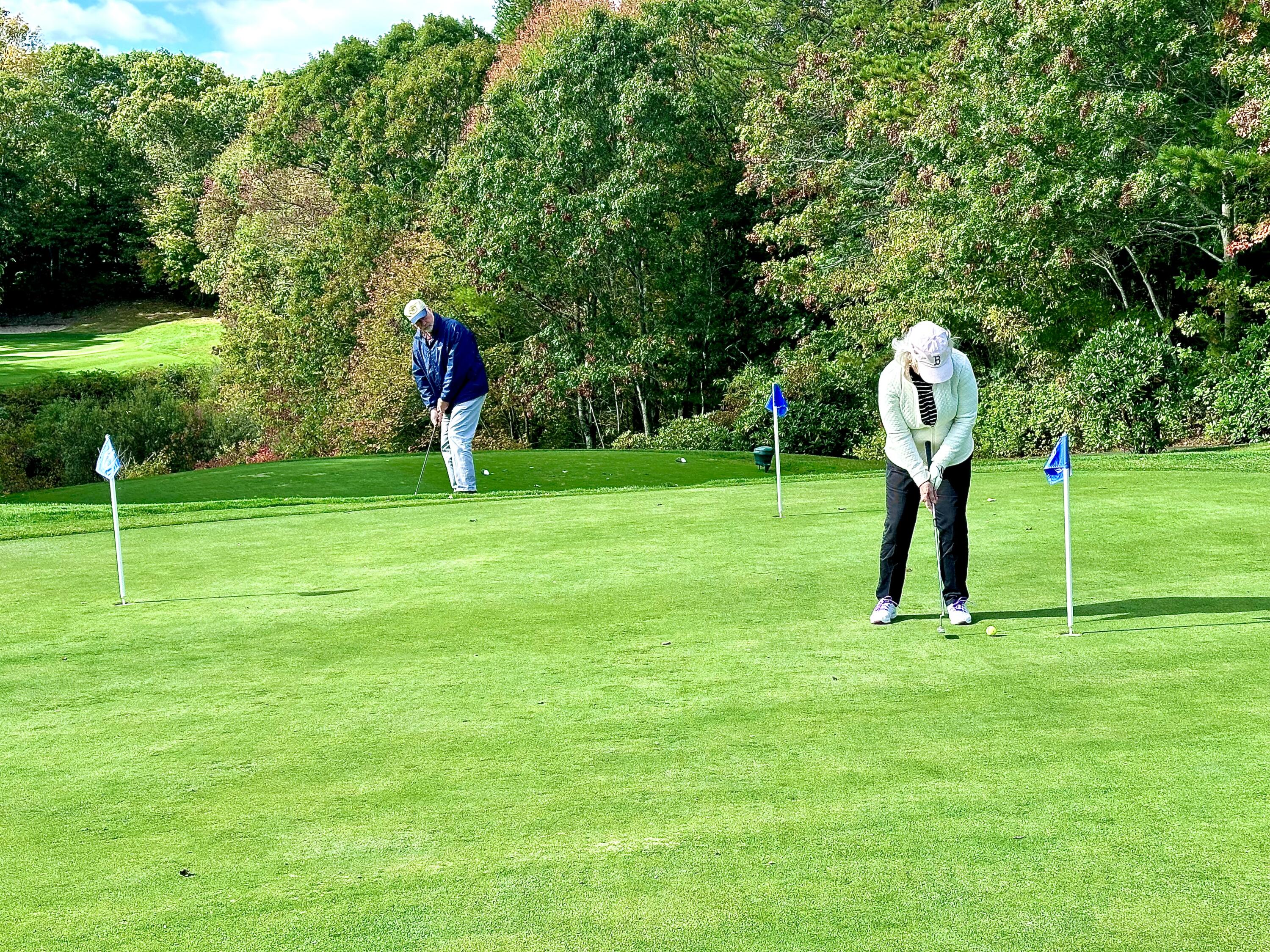 4 North Ridge Road Mashpee, MA 02649 - Photo 26 of 26 a view of a park with a large tree