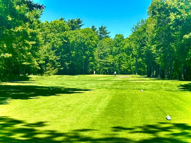 a view of house with yard and green space
