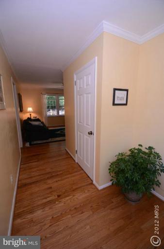 41 Sheridan Road Arnold, MD 21012 - Photo 21 of 30 Main Entry Central Hall