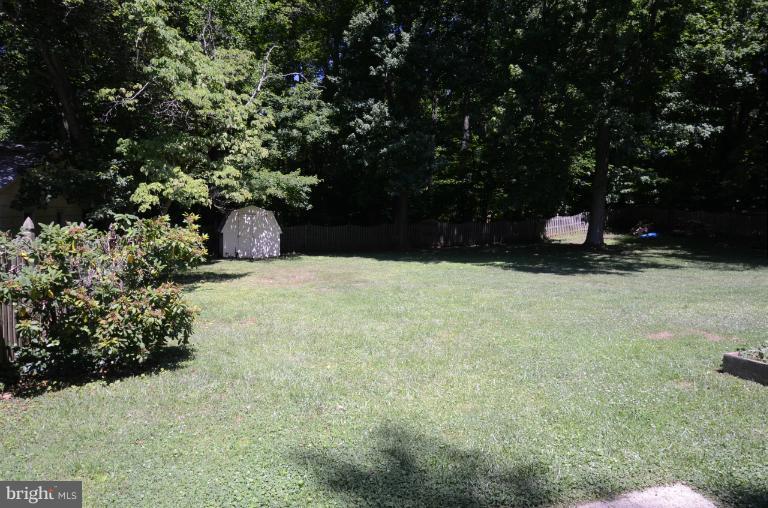 41 Sheridan Road Arnold, MD 21012 - Photo 29 of 30 Backyard, Shed, & Woods Beyond