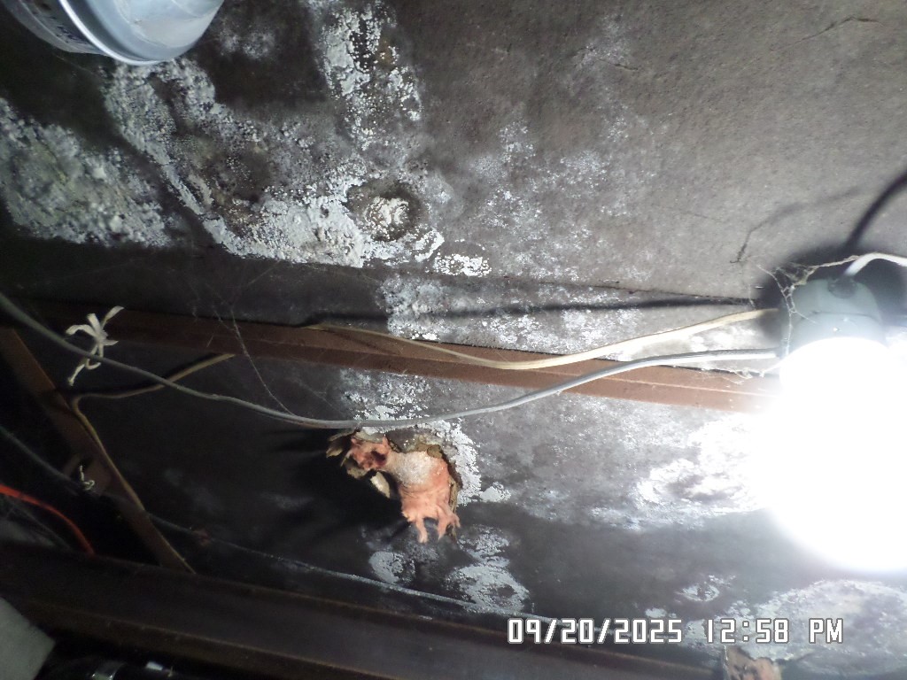 121 Happy Valley Road Maryland, NY 12116 - Photo 26 of 34 basement