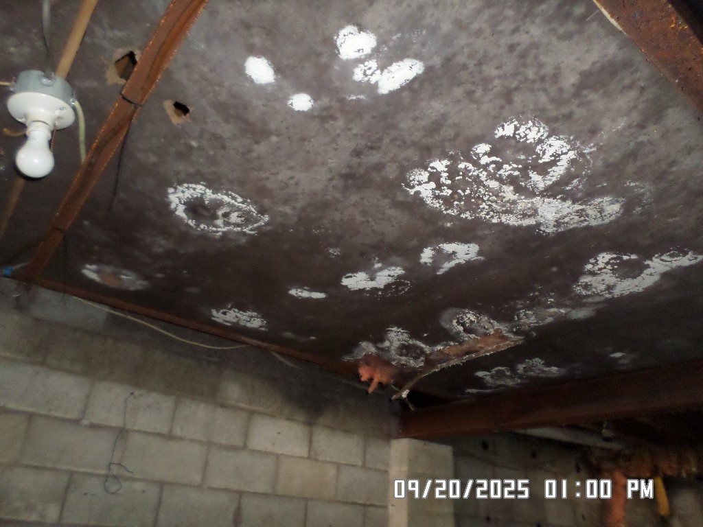 121 Happy Valley Road Maryland, NY 12116 - Photo 32 of 34 basement