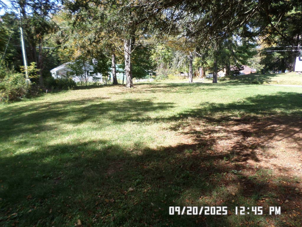 121 Happy Valley Road Maryland, NY 12116 - Photo 9 of 34 front lawn