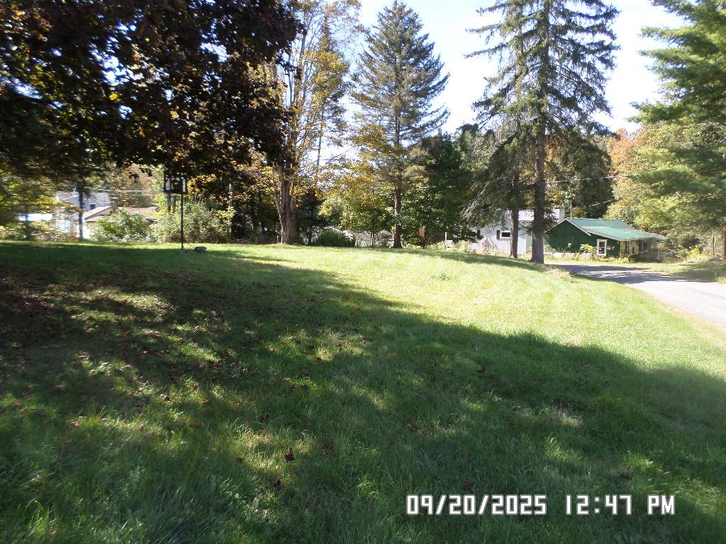 121 Happy Valley Road Maryland, NY 12116 - Photo 10 of 34 front lawn