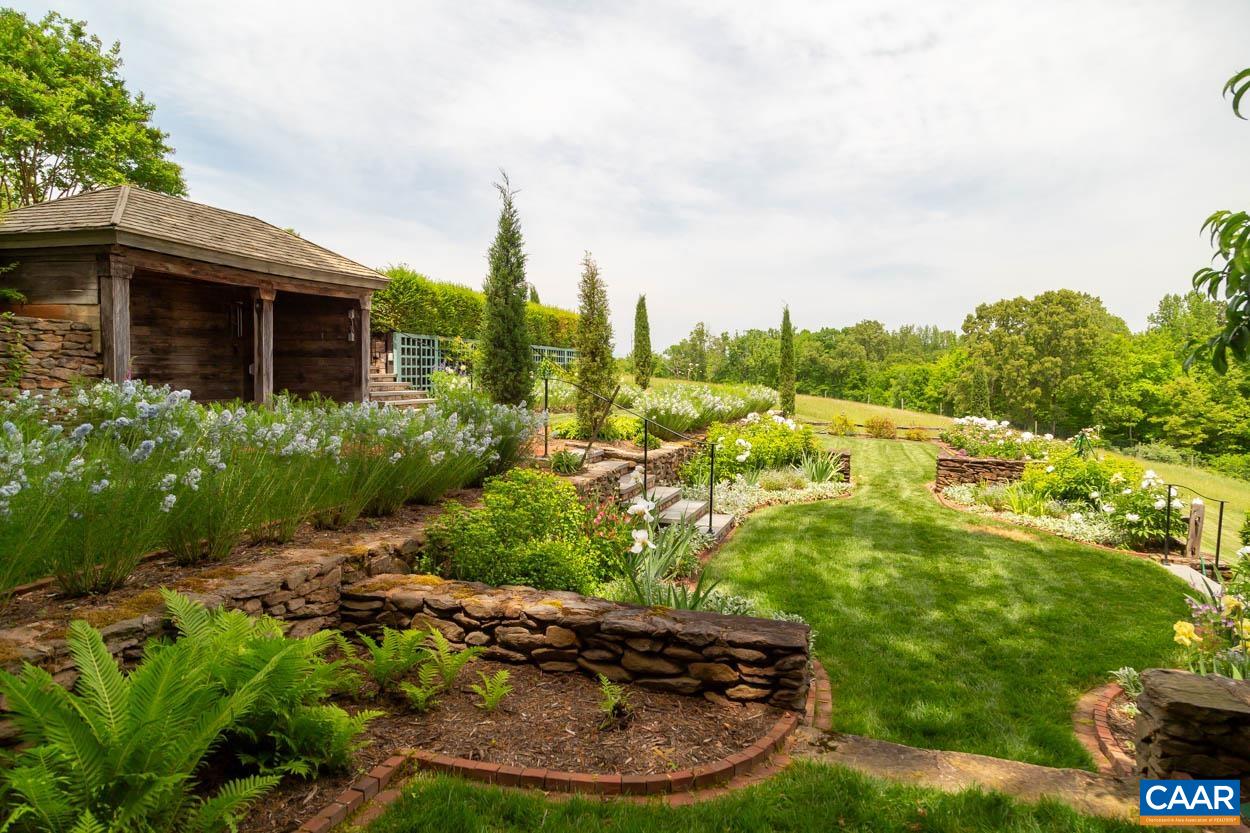 1790 Lambs Road Charlottesville, VA 22901 - Photo 34 of 53 a view of a backyard with plants and lake