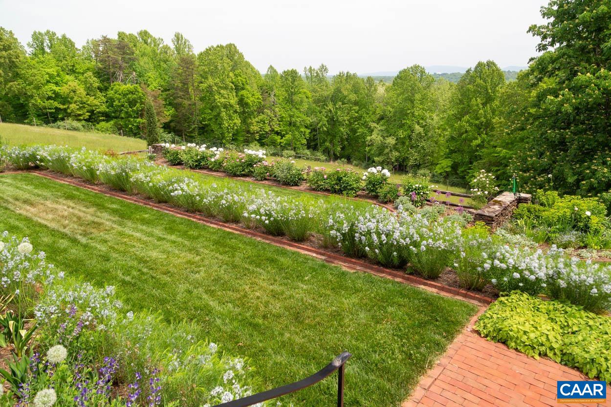 1790 Lambs Road Charlottesville, VA 22901 - Photo 37 of 53