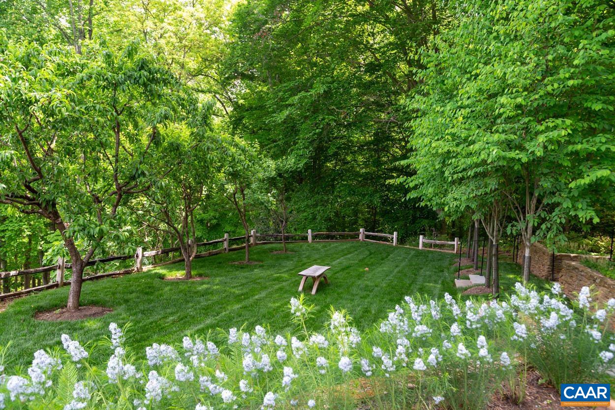 1790 Lambs Road Charlottesville, VA 22901 - Photo 41 of 53 a backyard of a house with plants and a bench