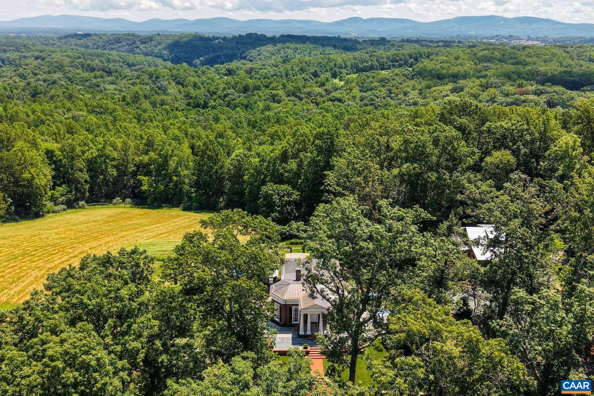 1790 Lambs Road Charlottesville, VA 22901 - Photo 49 of 53 a view of a field with a tree