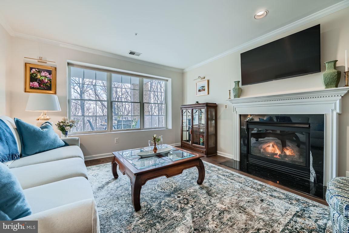 12320 Rosslare Ridge Road, Unit 304 Lutherville-Timonium, MD 21093 - Photo 8 of 48 The living room is engulfed in natural light