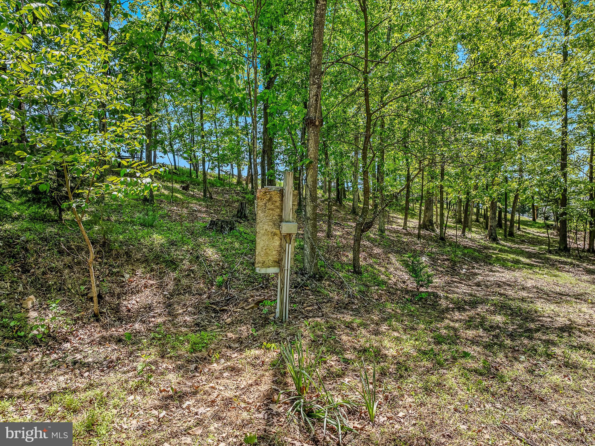 3322 Johnsons Mill Road Berkeley Springs, WV 25411 - Photo 44 of 52 Power for RV